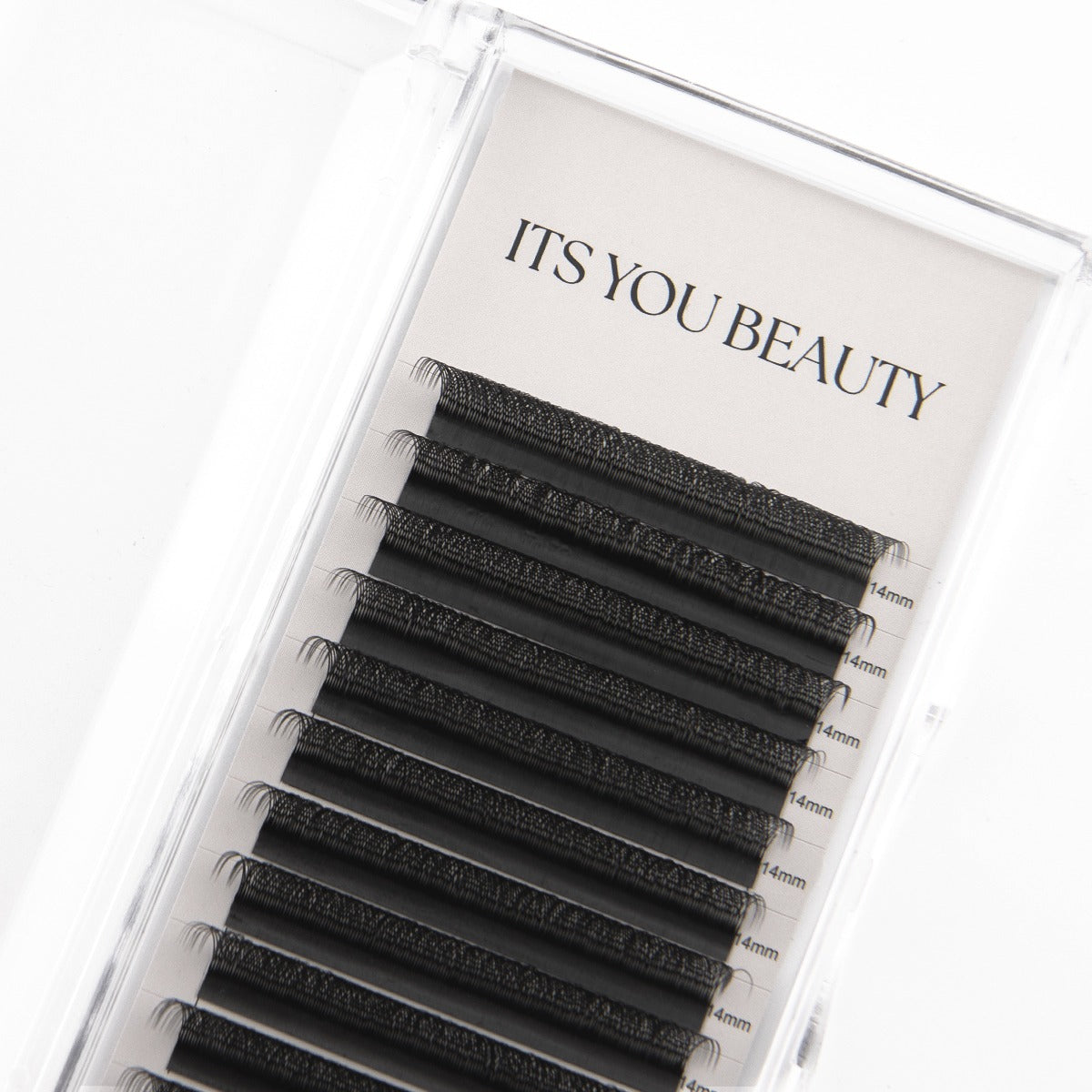 Volume 2D Lashes Tray von ITS YOU BEAUTY, Premade Fans in Schwarz