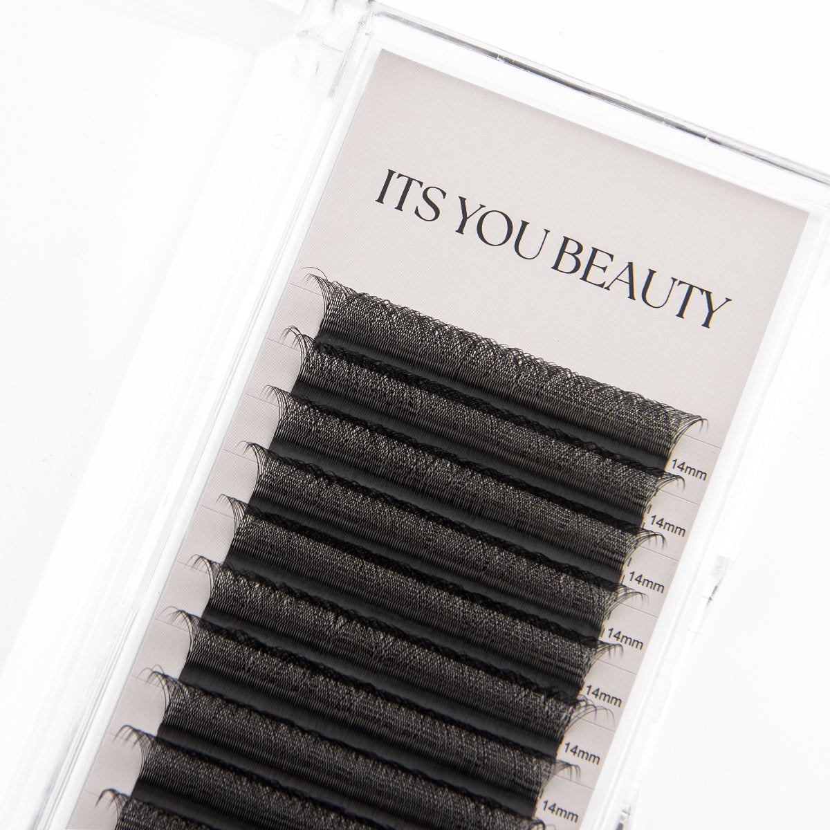 Volume 3D Lashes Tray von ITS YOU BEAUTY, Premade Fans in Schwarz